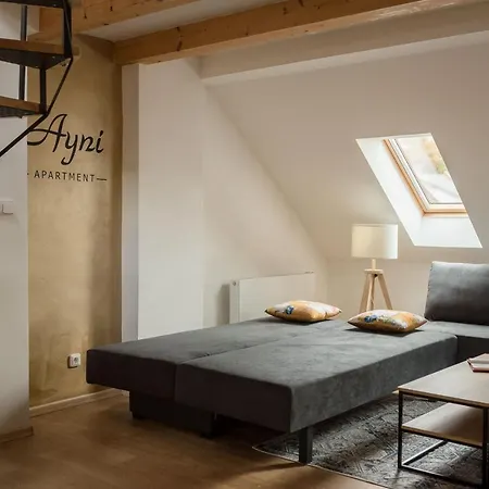 Ayni Apartman Semily Exterior photo